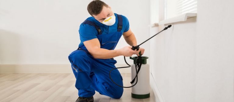 Get Residential Pest Control in Dubbo