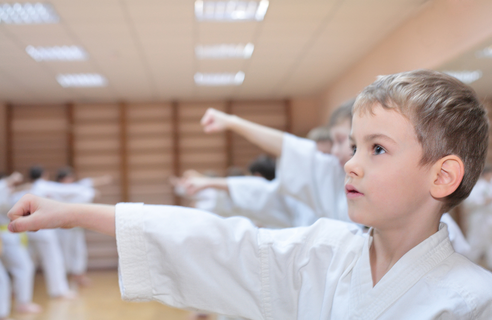 Douglas County Area Residents Get More Martial Arts-Related Options