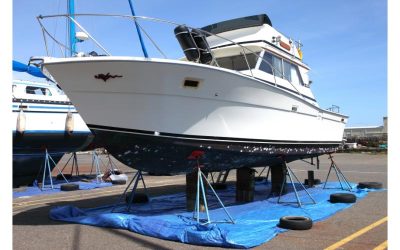 Experience Pristine Waters and Big Catches with Deep Sea Fishing Destin FL Experts