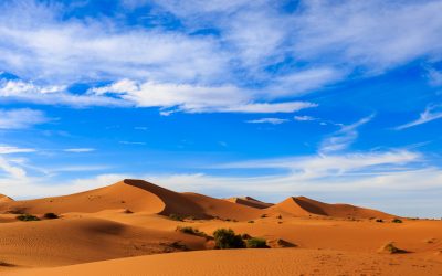 Unveil the Magic of Morocco with a 4-Day Tour From Fes to Marrakech