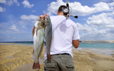 Experience Unmatched Tranquility on Your Getaway Through Madison River Fishing Adventures