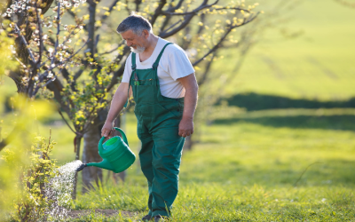 Find Reliable Mosquito Companies in Sellersburg, IN for Your Summer Relief