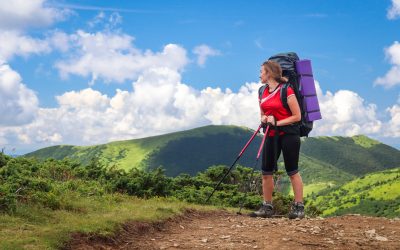 Families seeking unforgettable memories will find Costa Rica Adventure Tours perfect for bonding in nature