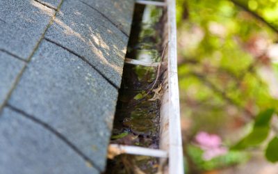 Prevent Home Water Damage with Expert Rain Gutter Cleaning in Greenville, SC Services