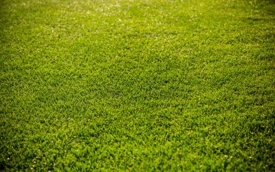 The Secret to Lasting Turf with Professional Lawn Aeration in Plymouth, MN, Services
