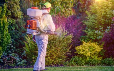 Keep your landscape healthy year-round with tree and shrub care in Clarksville, IN