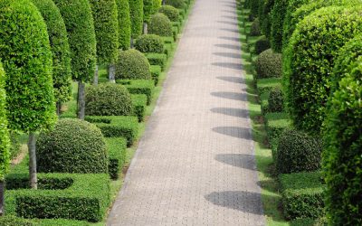 How Commercial Landscape Design Waukesha, WI Improves Property Value and Aesthetics