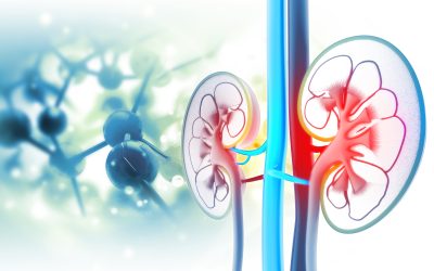 Understanding Your Kidney Treatment Journey with Nephrology Milwaukee WI Specialists