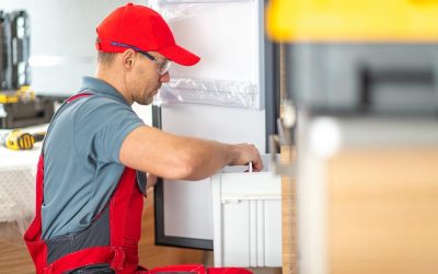 Common Sub-Zero Problems and Repair Solutions for Palmetto Bay Homes